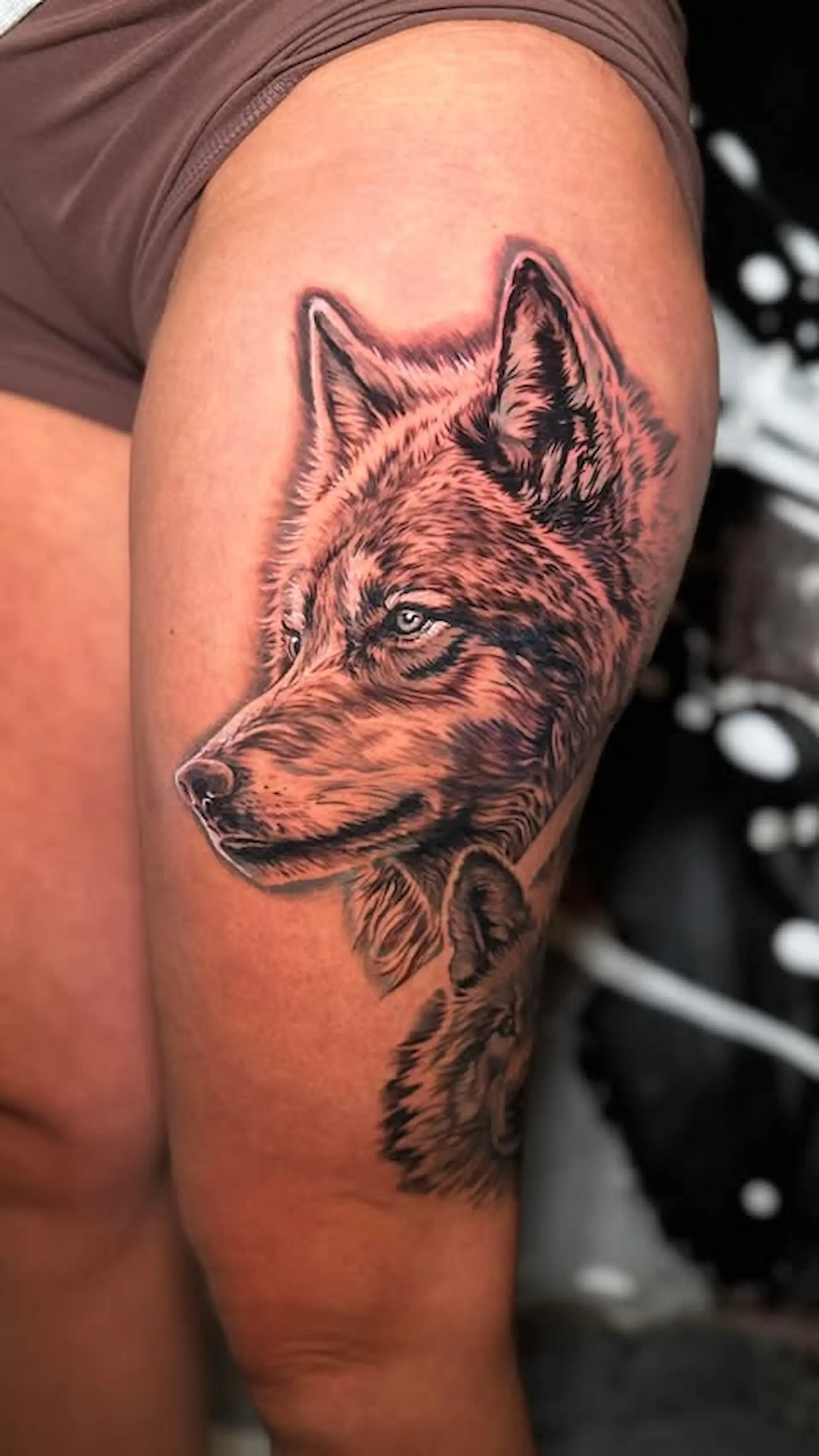 Tatouage Loup